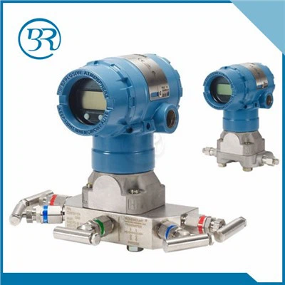 Роузмаунт 2051цг